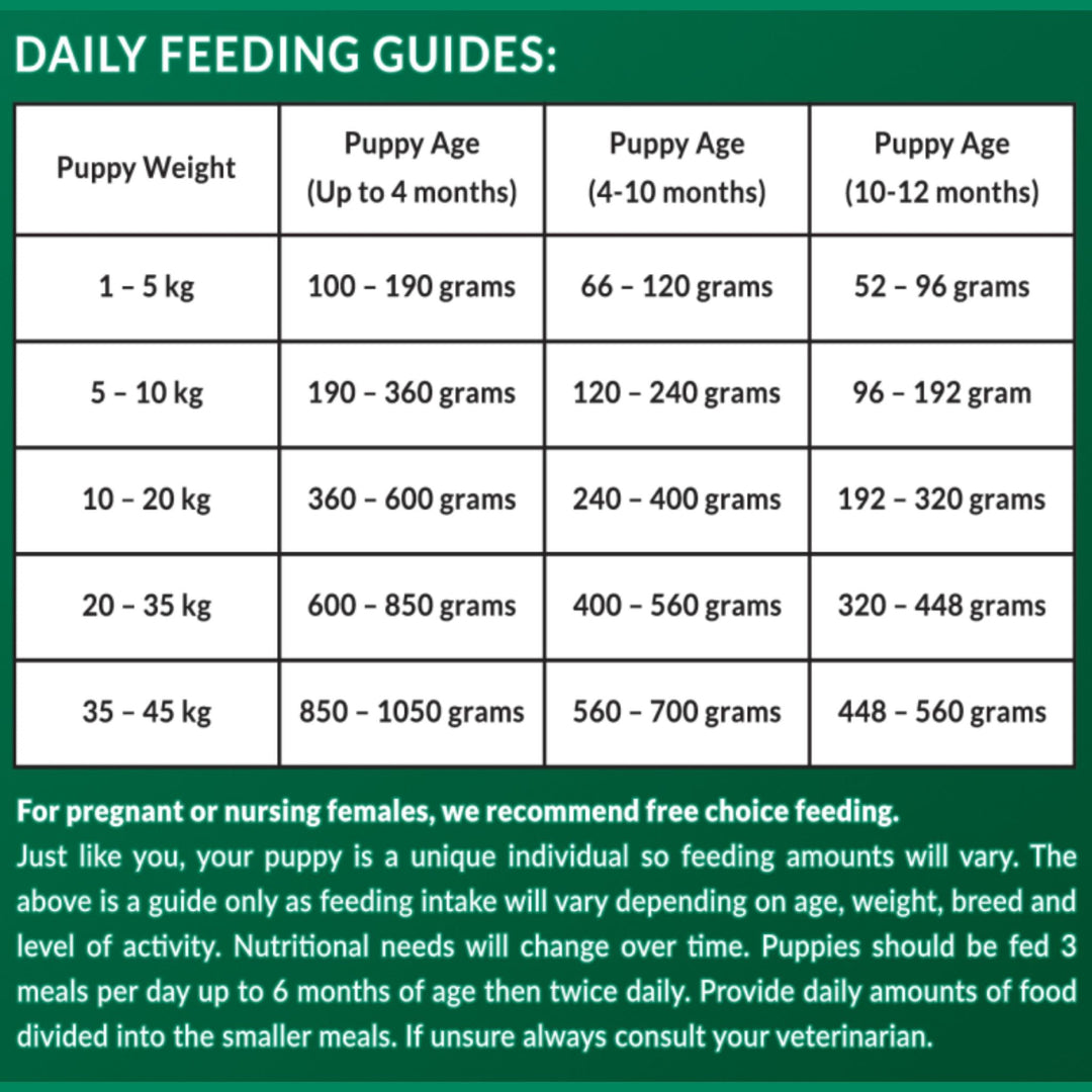 VitaRapid Science Puppy Food